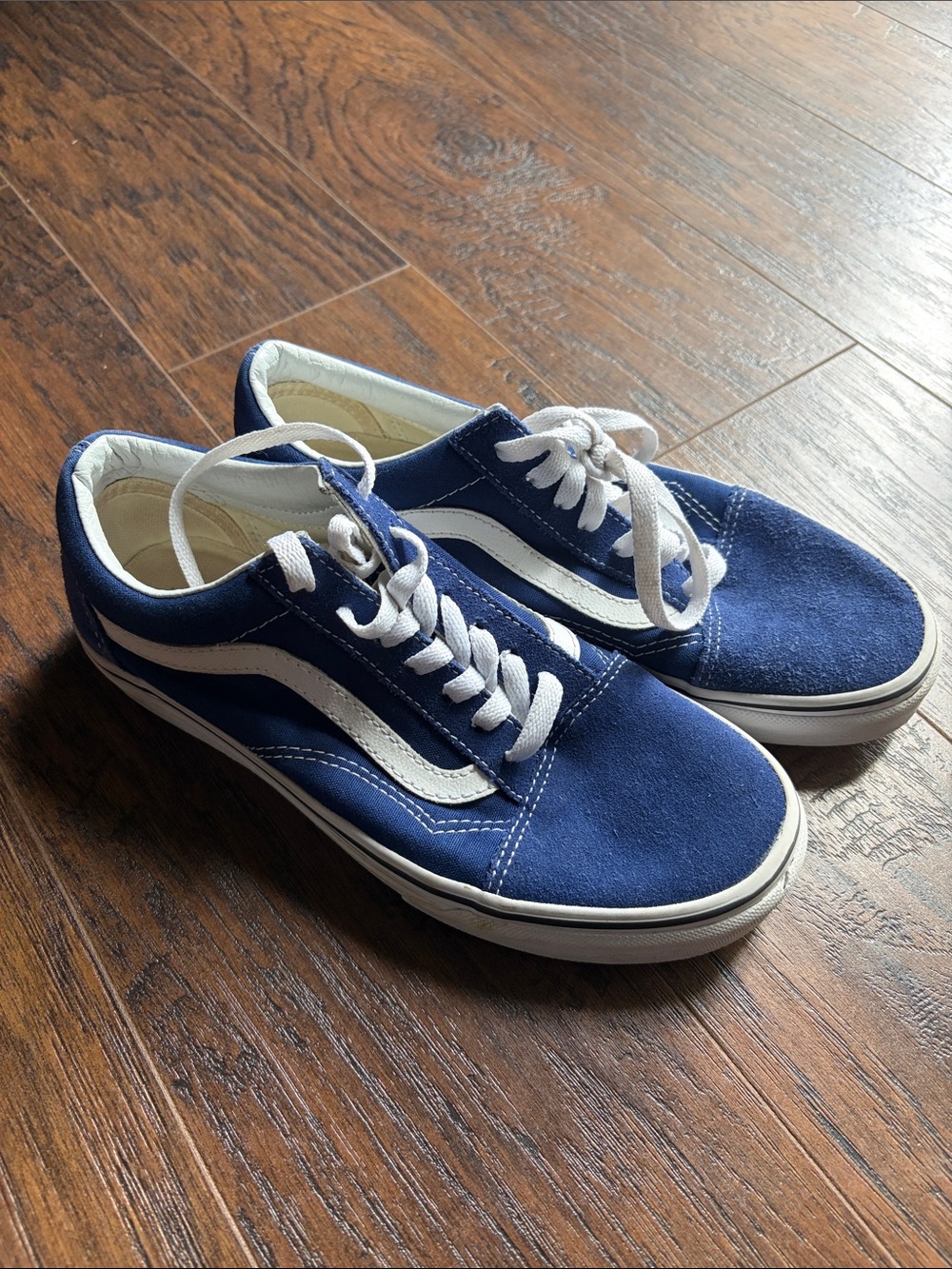 Vans Blue Canvas Low-Top Sneakers